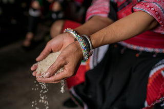 Dry or Damaged Hair? How Natural Rice Cosmetics Restore Hair Health